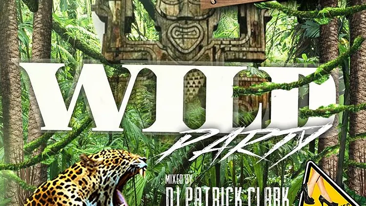 Wild Party @Balajo Bastille - Dirty beats Paris