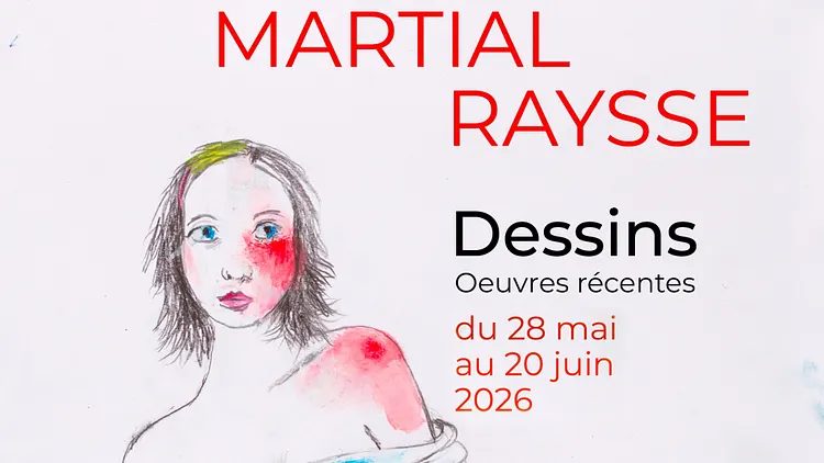 Exposition Martial Raysse, Dessins : Oeuvres récentes