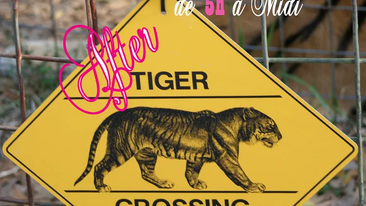 Tiger Crossing
