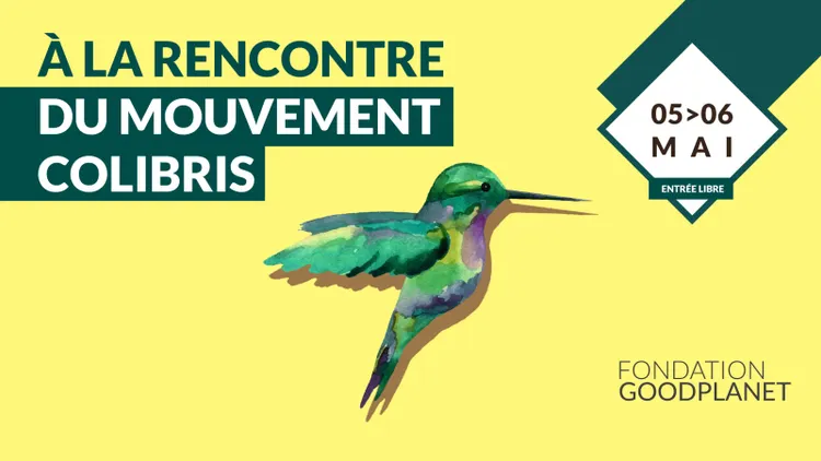 A LA RENCONTRE DU MOUVEMENT COLIBRIS
