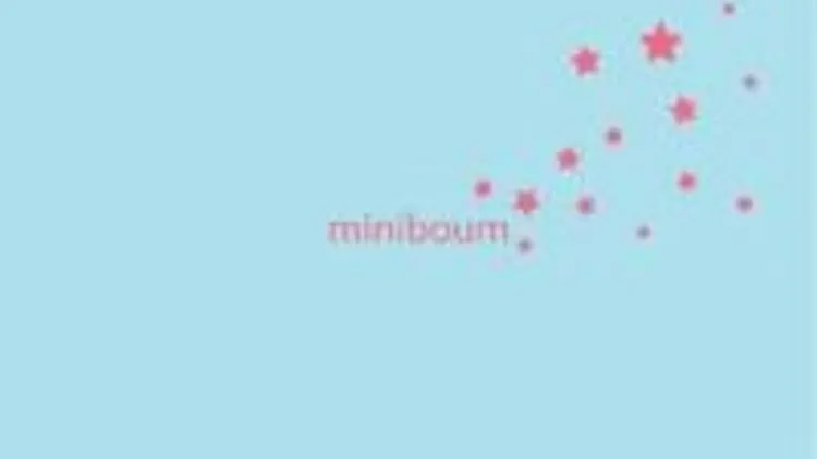 After Miniboum