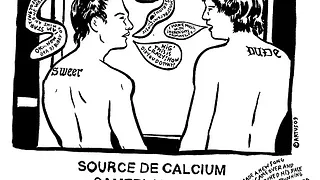 SOURCE DE CALCIUM