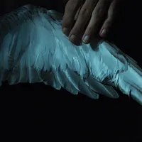 PRIX POLYPTYQUE 2018