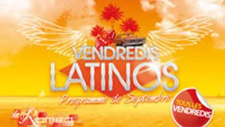 SALSA Maestra