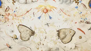 L’Expérience de la nature - Les arts à Prague à la cour de Rodolphe II