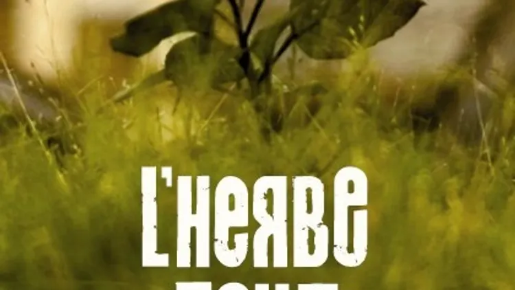 Les dimanches acoustiques : L'herbe folle