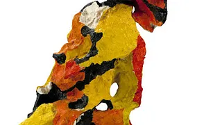 Karel Appel L'art est une fête !