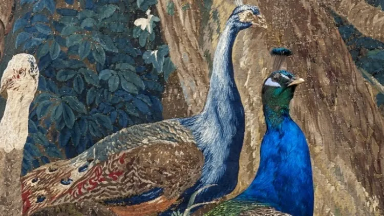 Les Animaux font le mur