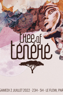 Tree of Ténéré x Le Flow | Solstice