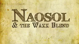 Naosol en concert