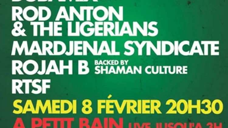 Alternative Reggae Party 6