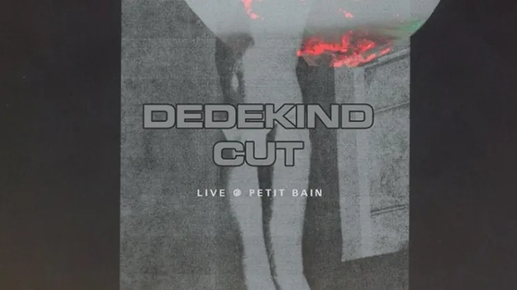 I’VE SEEN THE FUTURE 13 : DEDEKIND CUT