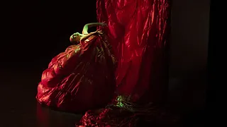 "Après vous madame + Concert" de Paula Comitre / José del Tomate