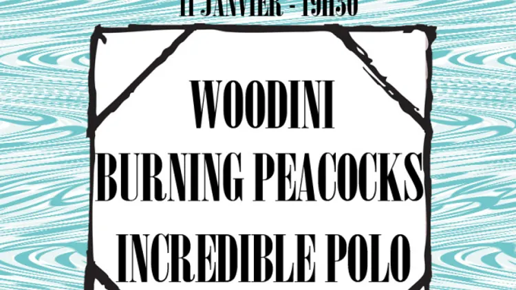 Day One : Woodini + Burning Peacocks + Incredible Polo