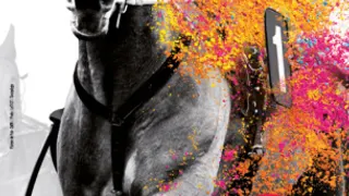 Nocturnes et Afterwork à l'Hippodrome Paris-Vincennes