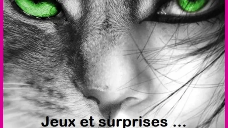 Afterwork Cat's eyes is back !