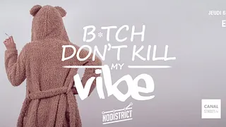 Bitch Don't Kill My Vibe