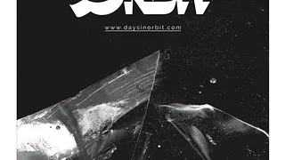 DAYS IN ORBIT