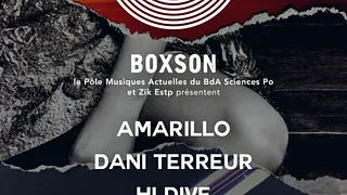 Boxson #1 // Amarillo • Dani Terreur • Hi Dive