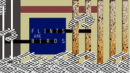 FLINTS ARE BIRDS