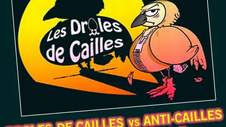Match d'Impro - Les Drôles de Cailles - 23 Février 2016