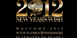 LE DUPLEX NEW YEARS 2012
