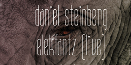 Daniel Steinberg, Elekfantz live & Stephan