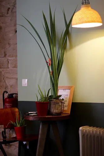 Monsieur K Restaurant Paris