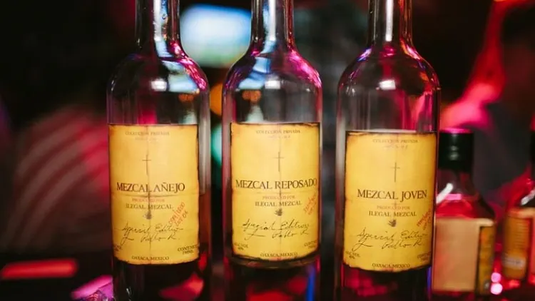Dégustation Ilegal Mezcal