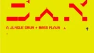 Beware A Jungle Drum'n'bass Flava