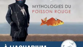Mythologies du poisson rouge