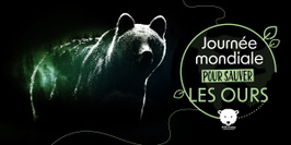 Journée mondiale pour sauver les Ours