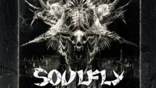 Soulfly en concert