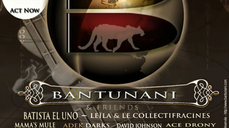 Concert des Bantunami&Friends