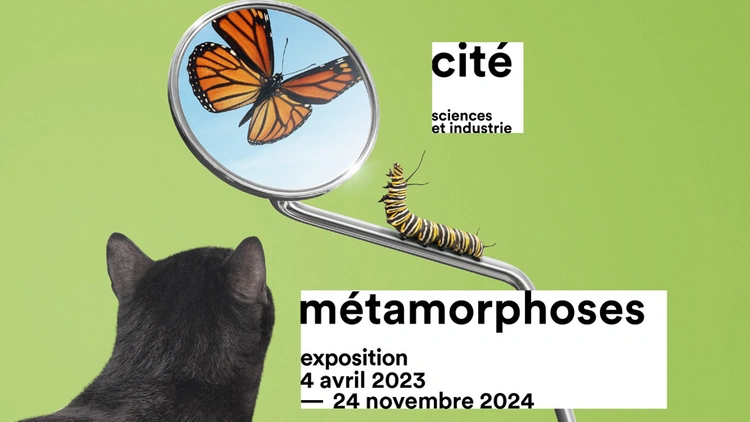 Métamorphoses