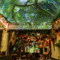 Jungle Palace
