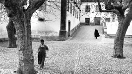 Exposition "Le regard de mon père" de Gérard Castello-Lopes