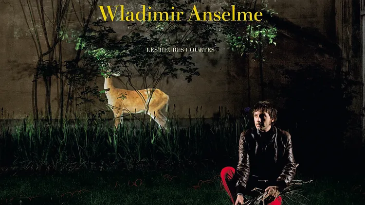 Wladimir Anselme