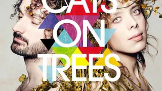 Cats On Trees en concert