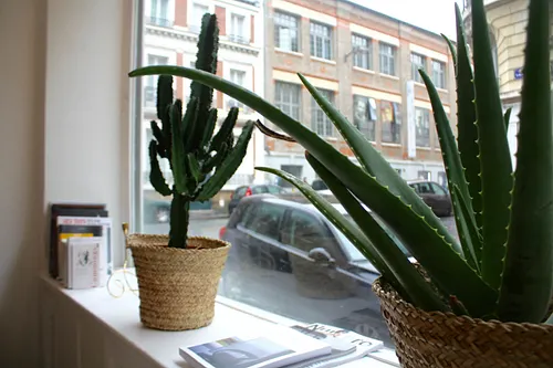 Oatmeal Restaurant Paris