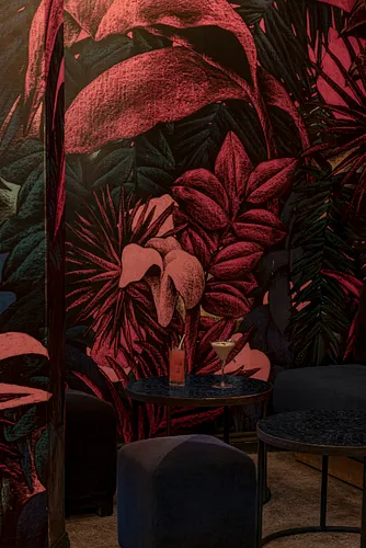Sauvages Bar Paris