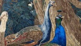 Les Animaux font le mur
