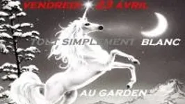 Tout Simplement Blanc