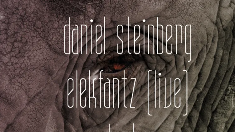 Daniel Steinberg, Elekfantz live & Stephan