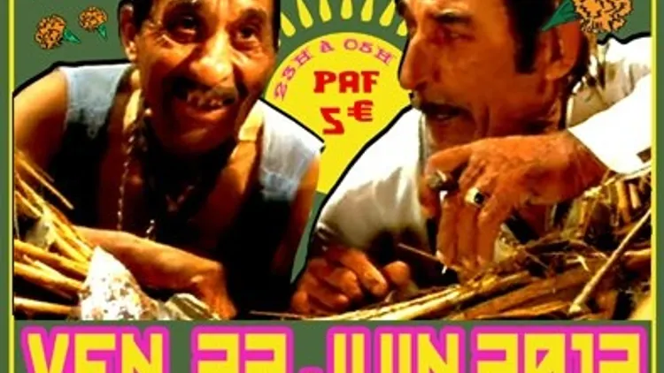Gypsy Night Fever #2