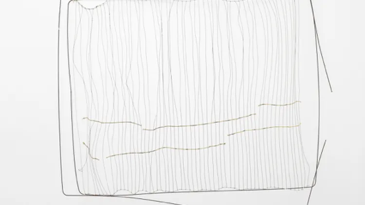 Expositions personnelles de Bronwyn Katz et Julieta Garcia Vazquez, résidentes SAM Art Projects 2018