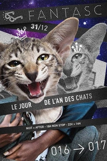 Fantasc - Le jour de l'an des chats