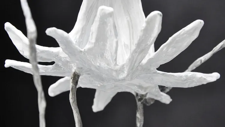 Exposition Sculptures Naado