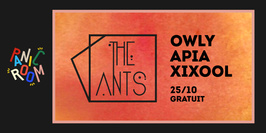 The Ants • Panic Room