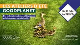 Les ateliers d'été